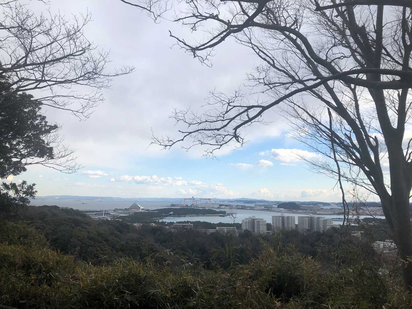 金沢山の写真