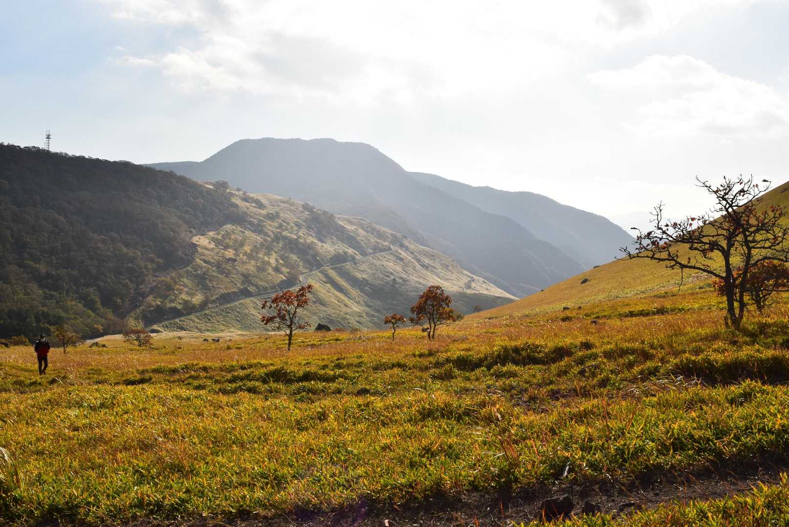 由布登山口バス停-正面登山口-飯盛ヶ城 往復コースの写真
