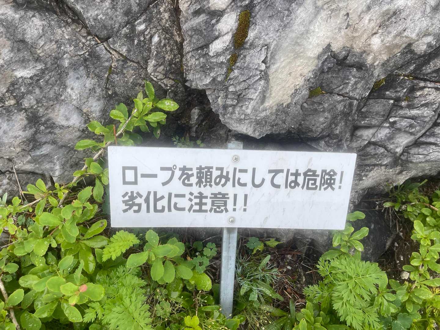 どのロープもこの日は大丈夫でした