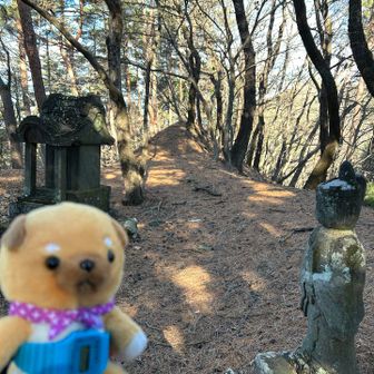 三峰山。ここで引き返して下山。