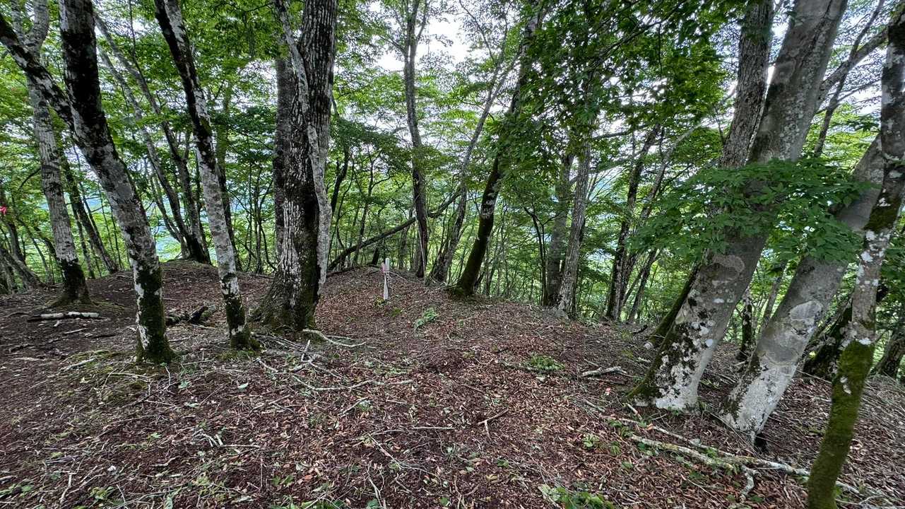 富士箱根トレイル／セクションハイク（三国山〜湯船山〜不老山〜駿河小山駅）＋鉄砲木ノ頭 の写真 26
