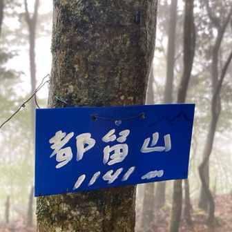 都留山⛰️