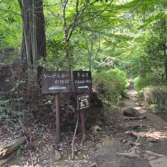 げっざーん