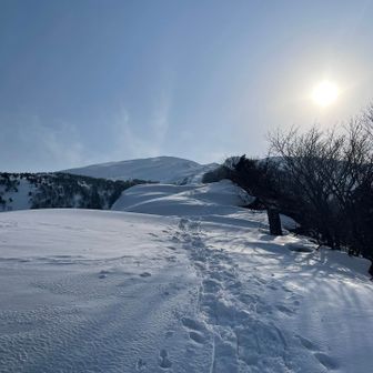 振り向く回数も増える…