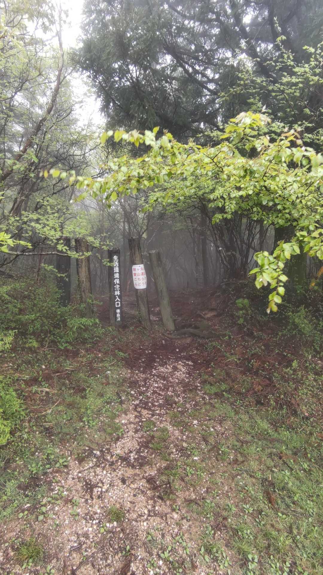ここから。