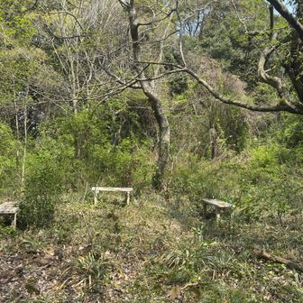 障子岩山山頂と思われます。周囲を一周ぐるっと探しましたが、何もありませんでした⛰️