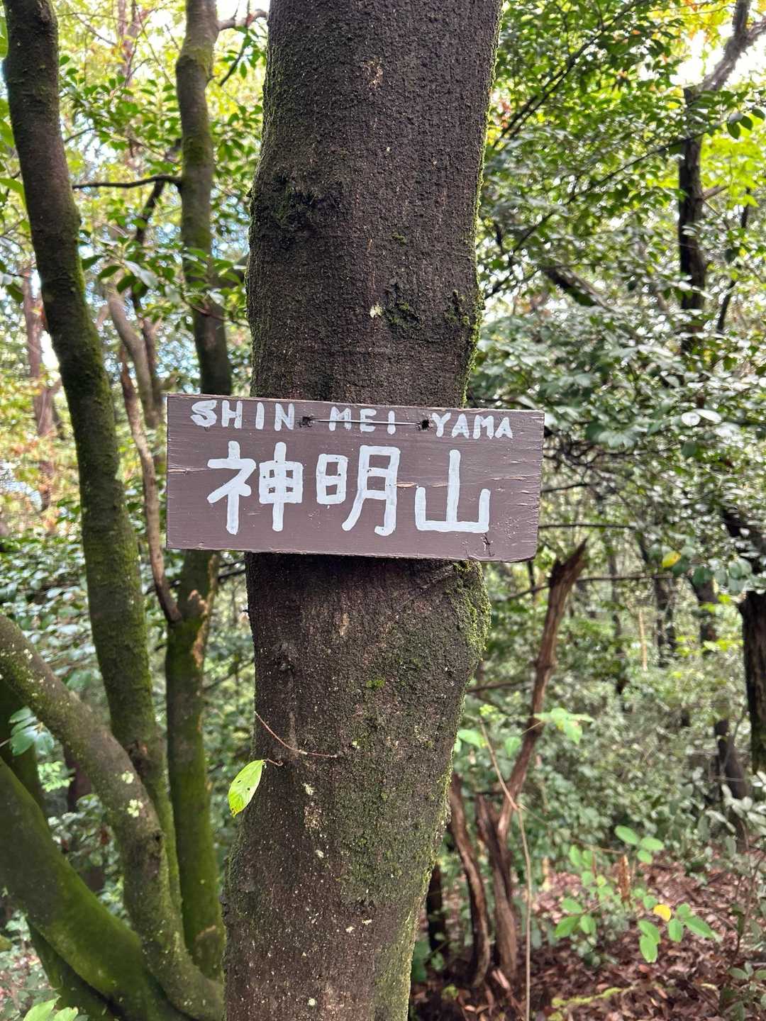 安桜山 周回コースの写真