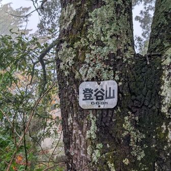 登谷山🕺
七峰踏破🕺