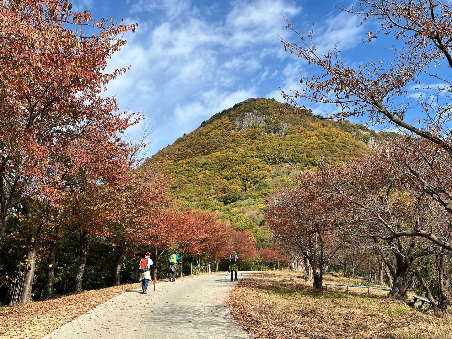 今日も良い天気☀️