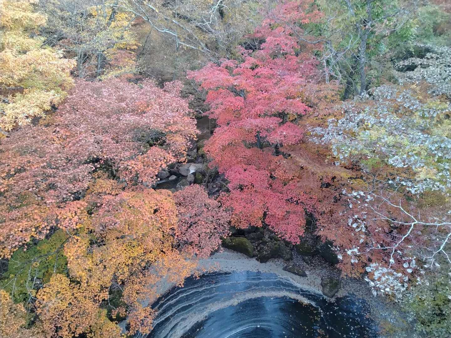 入ってすぐの、橋の上から