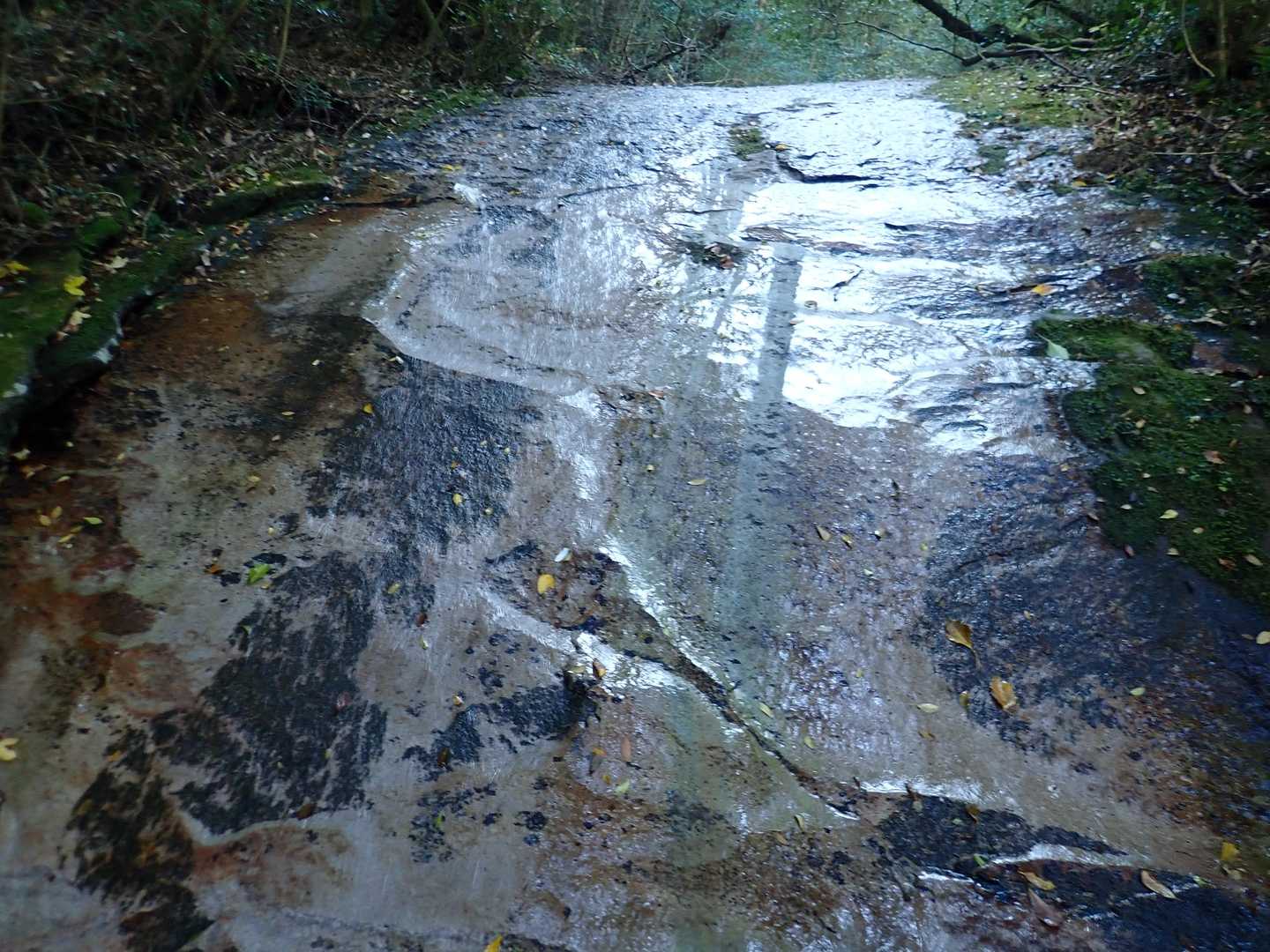 白肌の滝
