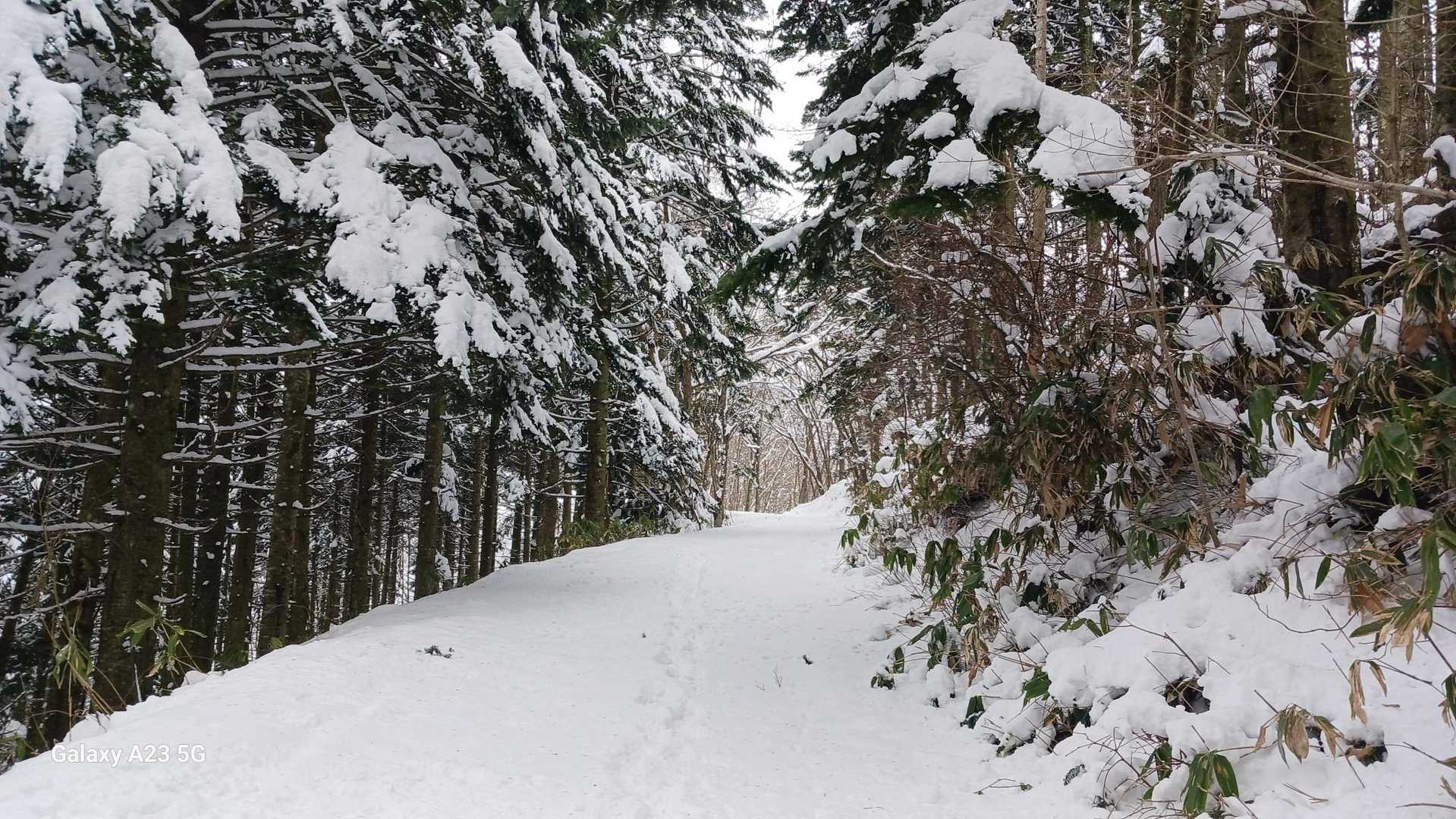静かな山歩😊