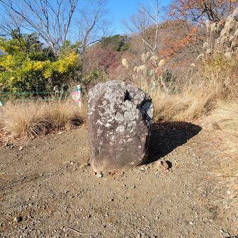 発句石の全貌
文化文政時代の地元の俳人、小林七右衛門が詠んだ句が刻まれてるらしい
