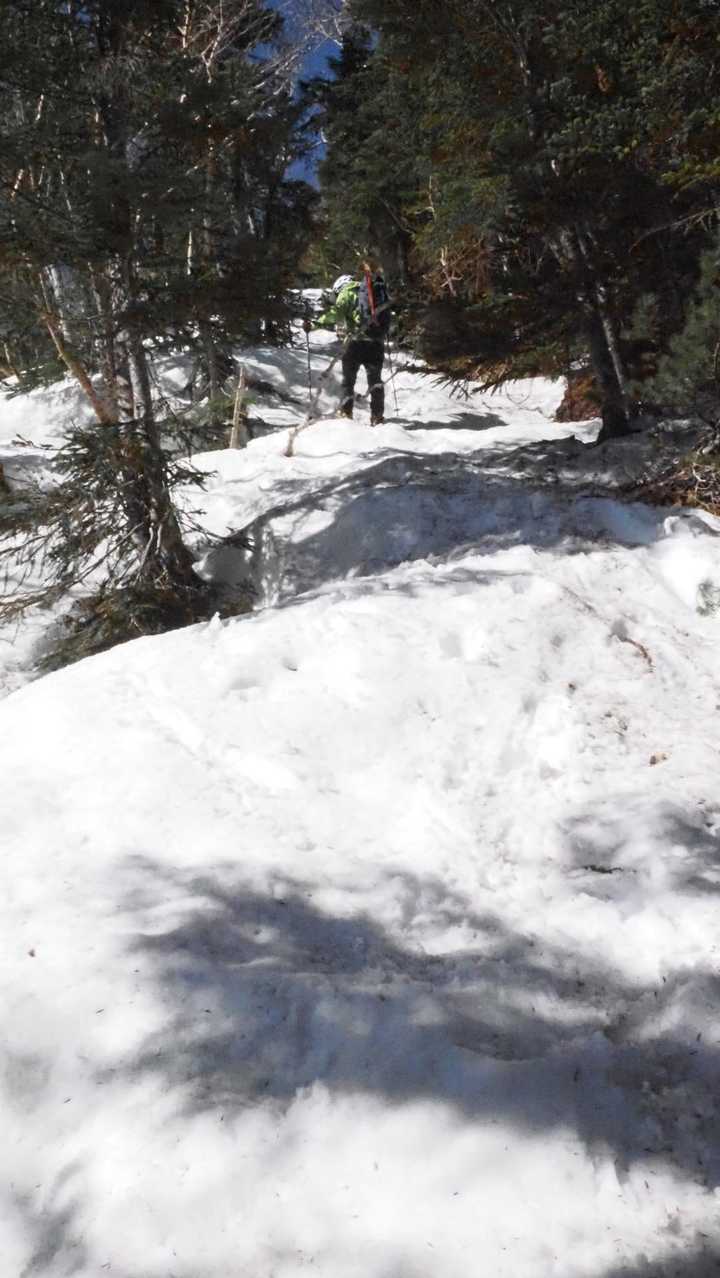 仙丈ヶ岳、残雪期テン泊 の写真 8