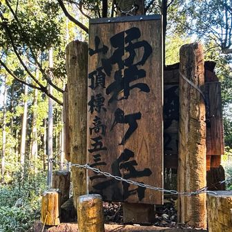 丁度いい気温

気温20℃ 湿度68%