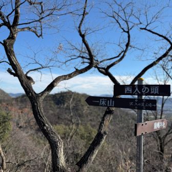 西入の頭