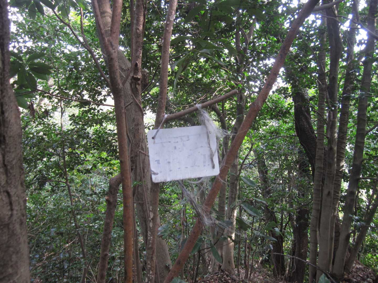 大沢山。消えてて読めない