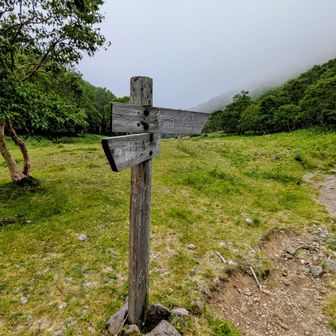 ここを👉に行けば日光白根山山頂、破線の☝に行く