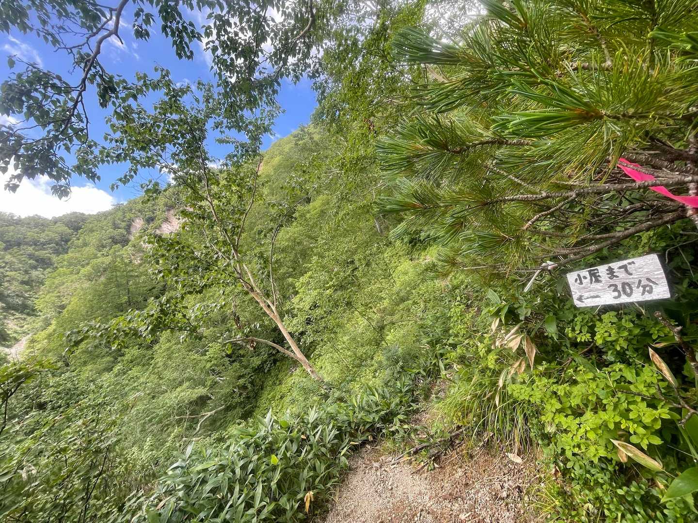 すれ違った方からもう少しで
小屋まで30分の道標あると言われた。
ほんとにあったが
もうそろそろ小屋着くと思っていたので
けっこうがっかり。