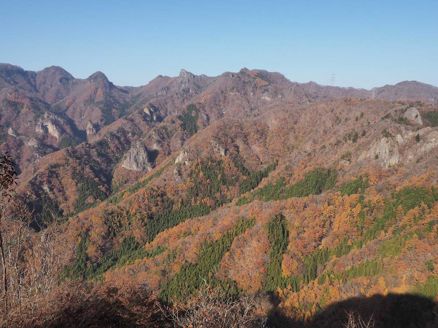 大屋山 往復コースの写真