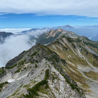 赤牛岳も登りたかったのですが、山小屋の夕食までに戻れるか微妙だったので諦めました😐この素晴らしい稜線を前にして、撤退の判断は難しかったです。必ずまた戻って来ます！