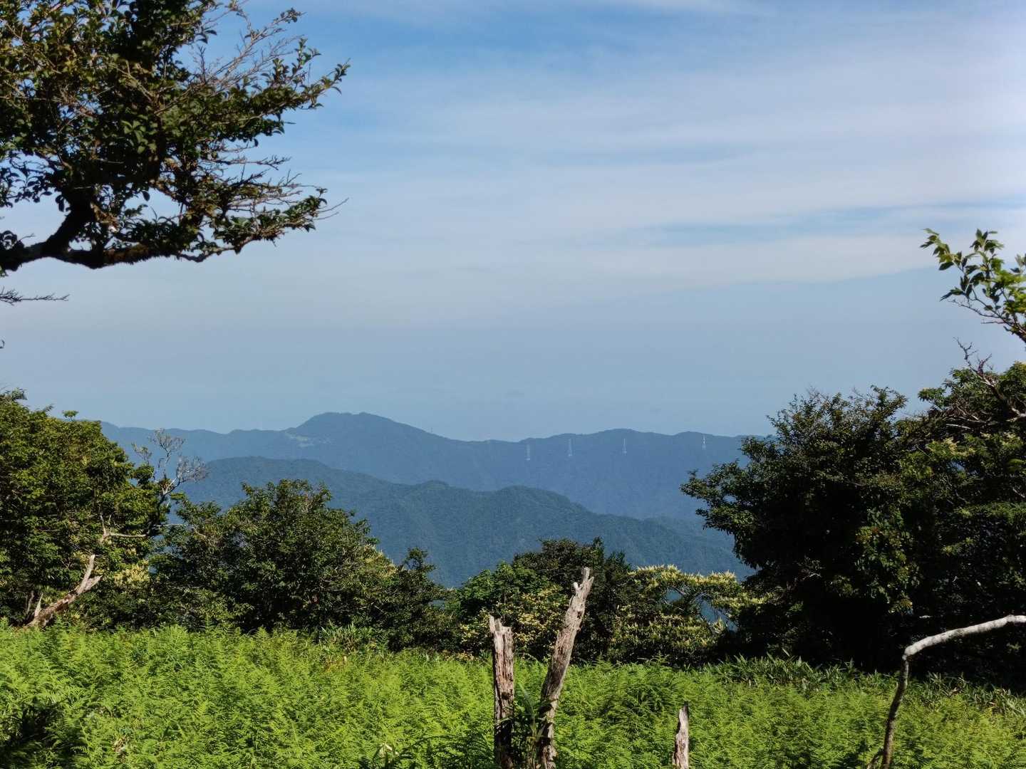 橡尾峠-カガマシ山-橡尾山 周回コースの写真