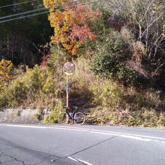 登山口です。
ロードバイクのサイクリングコースにも近く、自転車でのアクセスです。駐車場はありません。