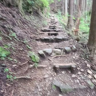 登り返し
ここで、もう疲れ果ててた🤭