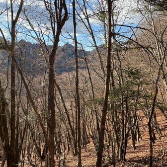 今日の山頂はどこかしら？