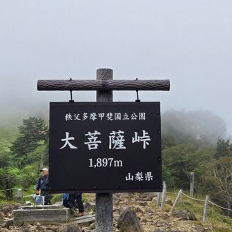 大菩薩峠