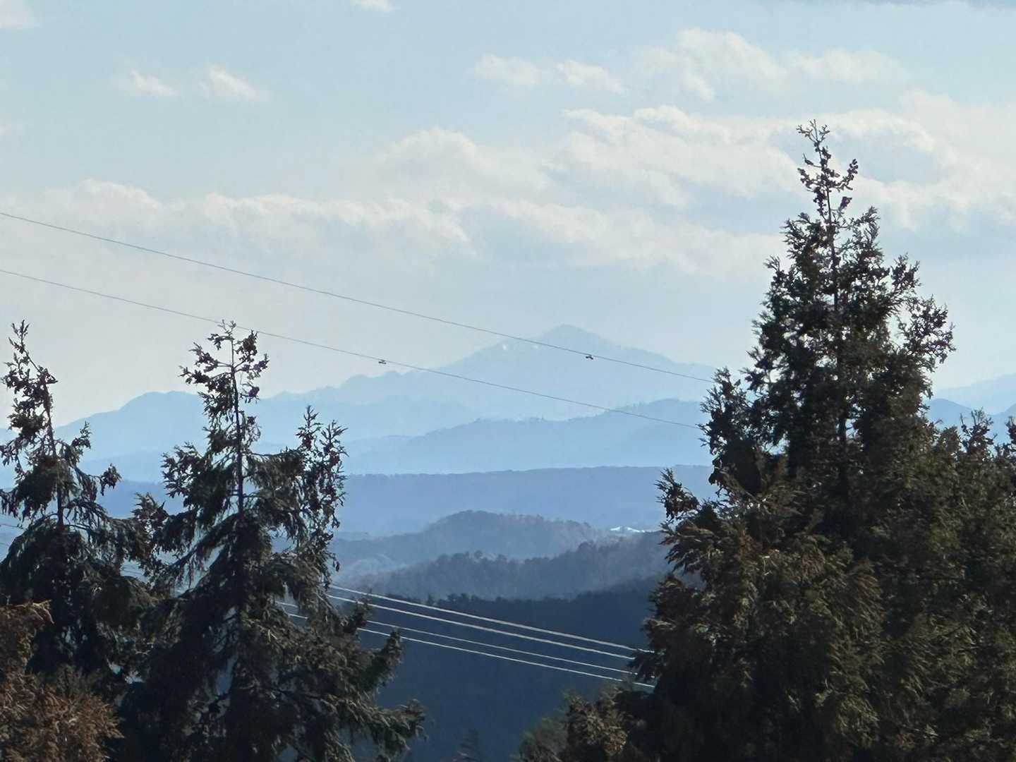 大山さん、見えました！😆