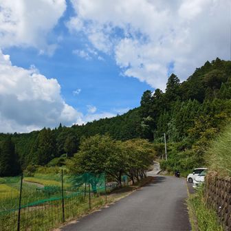無時に車まで戻って来ることができました。
さすがに暑くて大汗でしたが歩きやすい登山道で楽しい山歩きができました。
ありがとうございました。

では額井岳の山容が見たいので、おかわりに登りやすい近くの山へ移動します。
