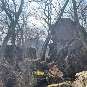 岩岩🪨ゾーン突入。