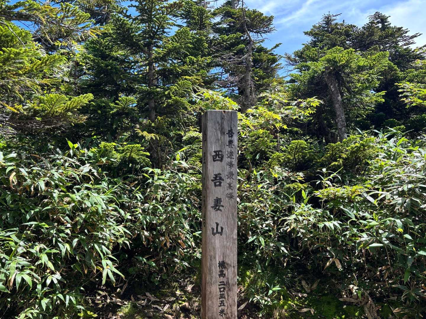 山麓駅-ロープウェイ終点-西大巓-西吾妻山 往復コースの写真