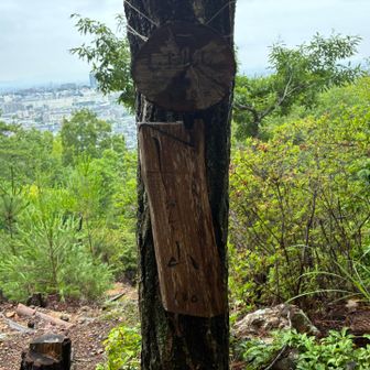 しおんじ山到着！