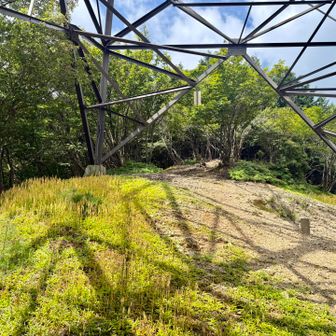 この鉄塔をくぐると、すぐ小島山山頂です。