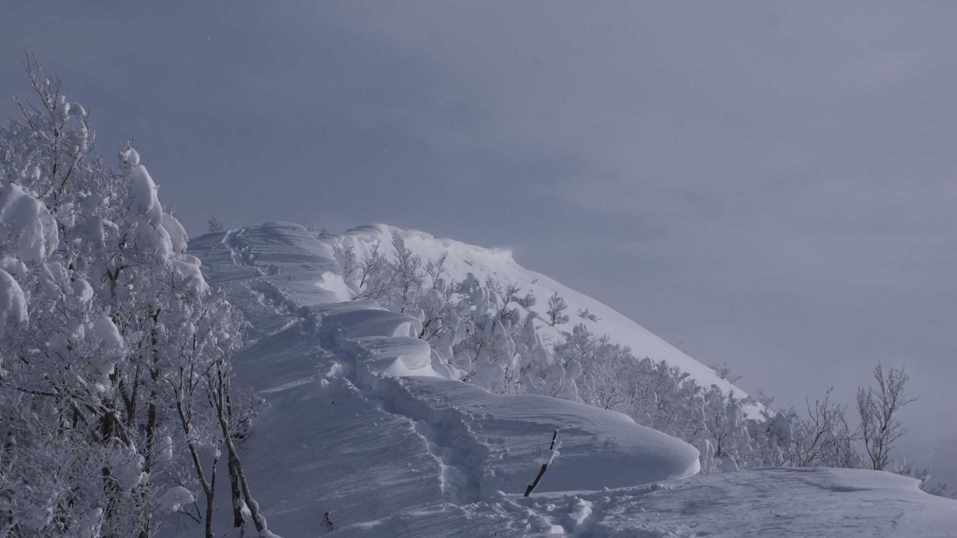 取立山 往復コースの写真