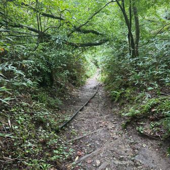 金剛山頂へ⤵️