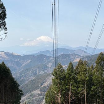 大野山越しに富士山🗻
