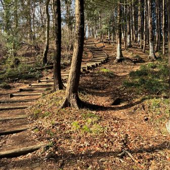 あまり好きではない階段
続いてますなー。頑張らなきゃ💪