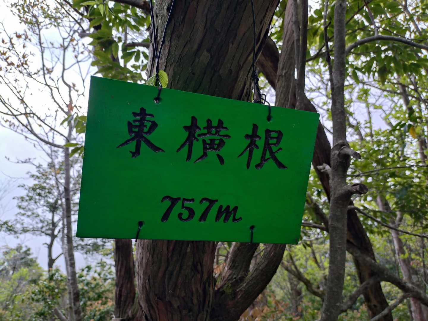 東ヨコネ⛰️