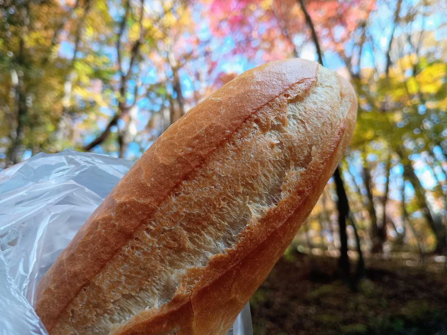 フランスパンハーフ(270円)。
気泡がない、むぎゅむぎゅ系。顎が疲れるパンです…好きです。