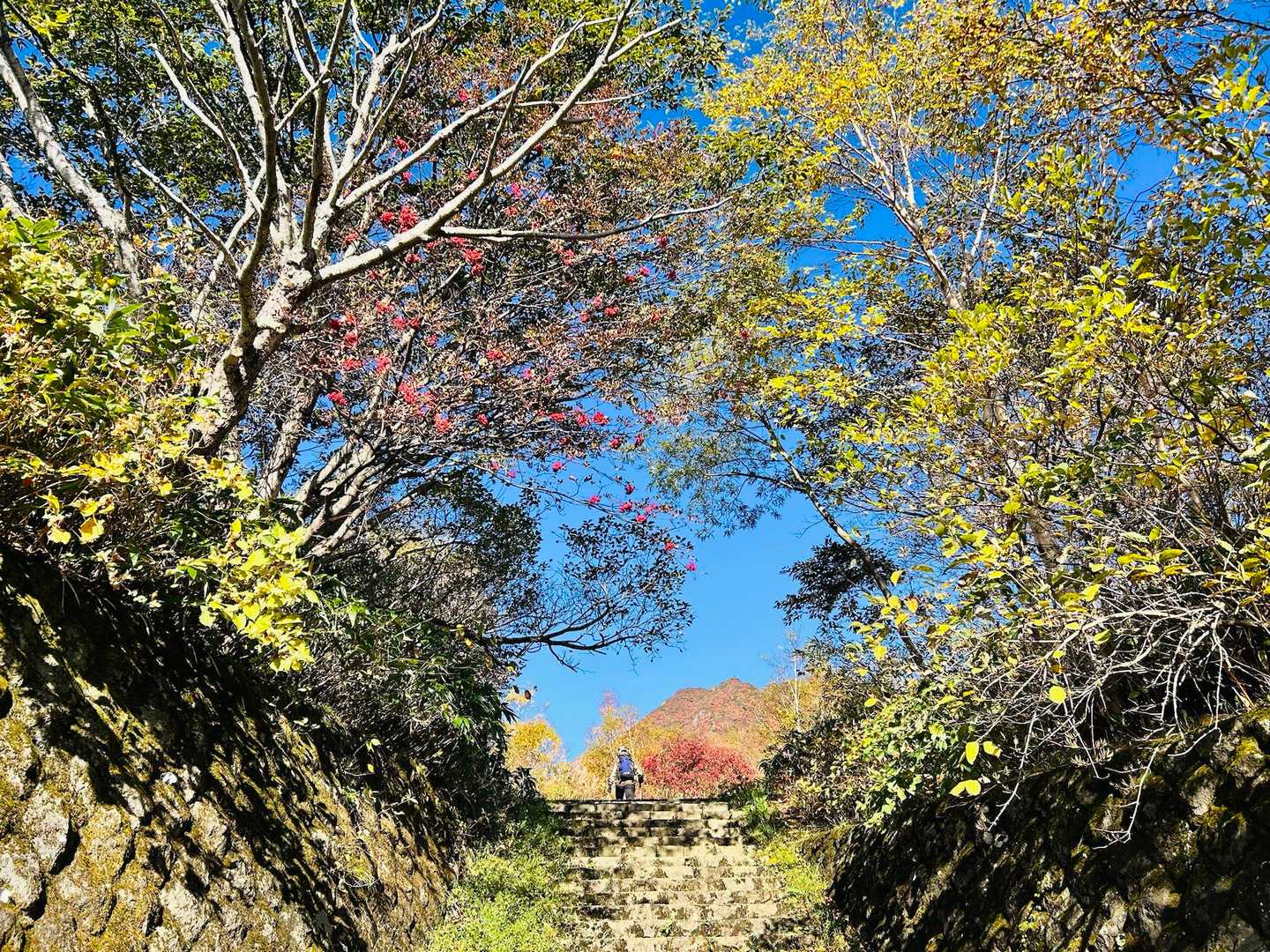 登山口⤴️
ここから既に美しい🤩ワクワク💖