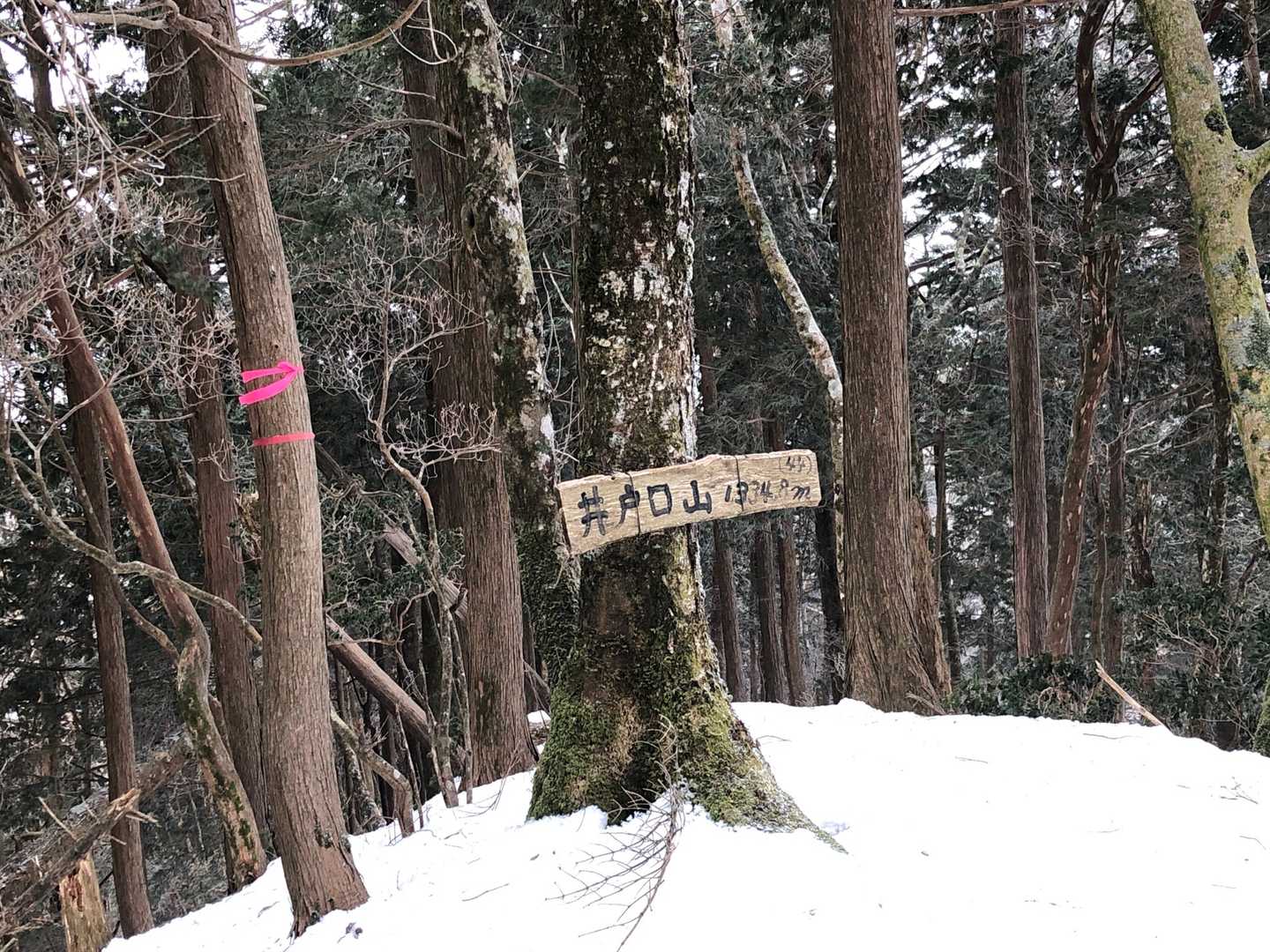 やっと着きました😆