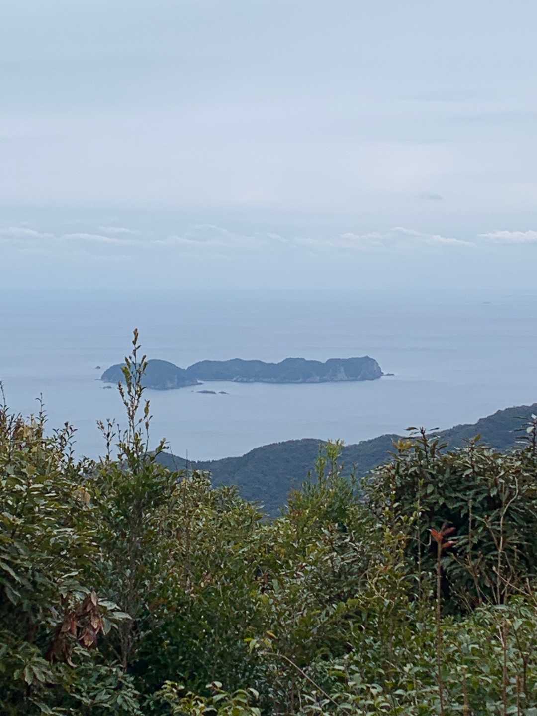 津島畑山の写真