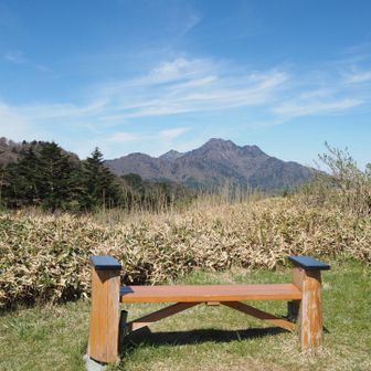 ベンチで休憩
後方に石鎚山