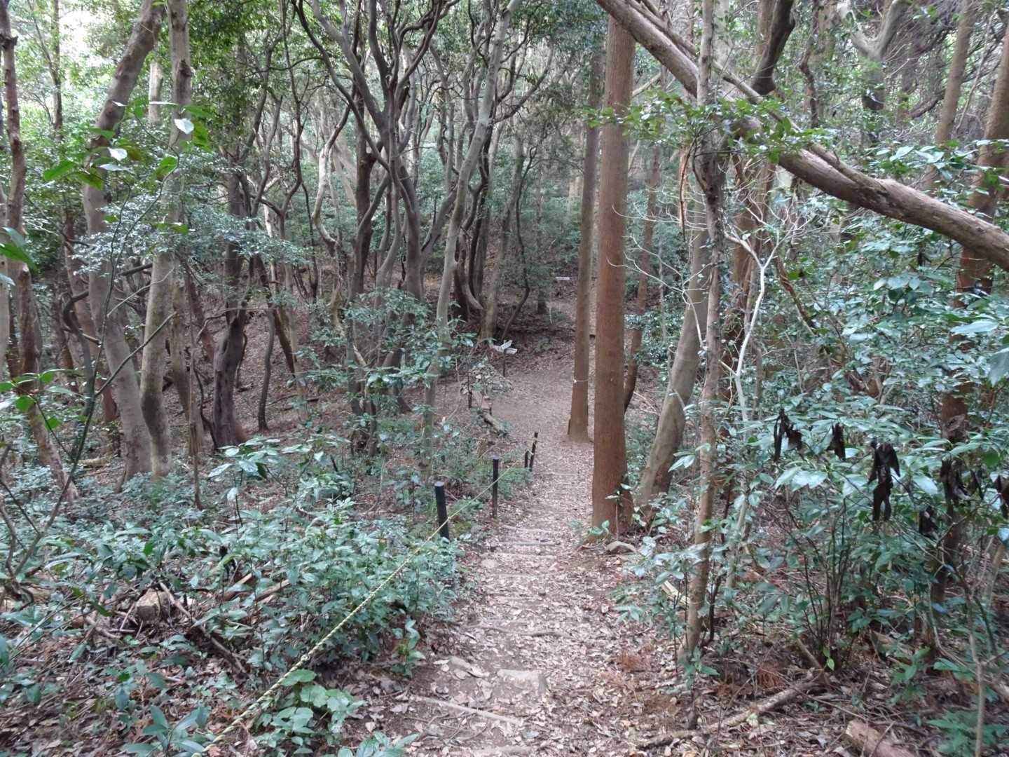 夫が石峠を素通りしてスタコラサッサと行きます。。だから、
私も続きます。
四ツ塚で唯一車道ではない峠。
通り過ぎて上からパシャリ！