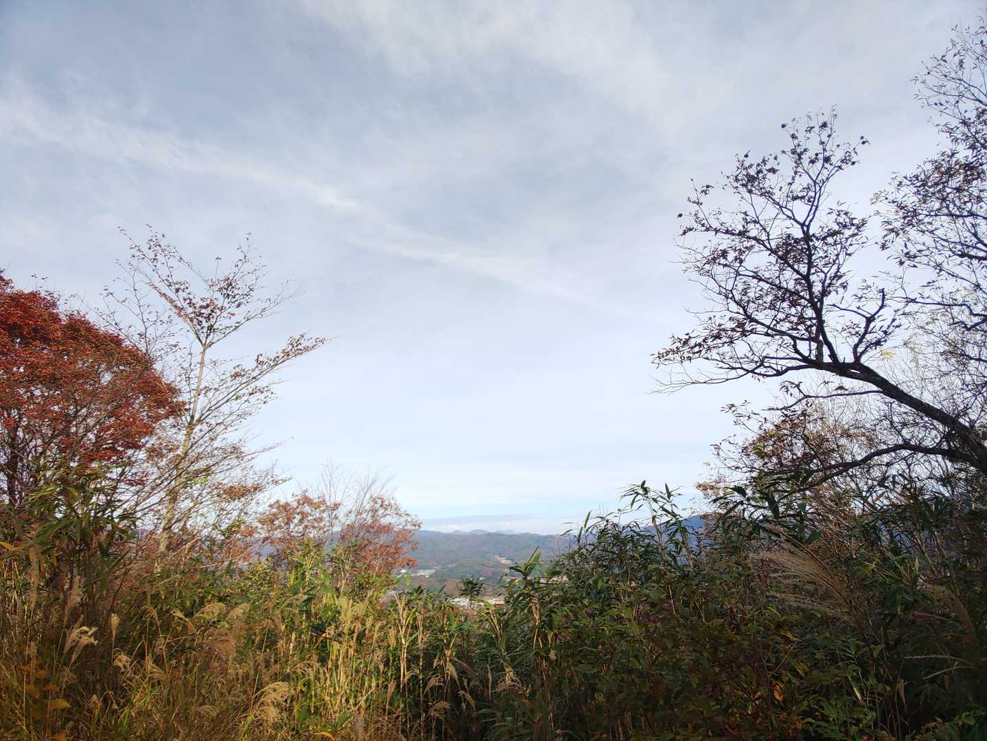 本丸からの眺め。