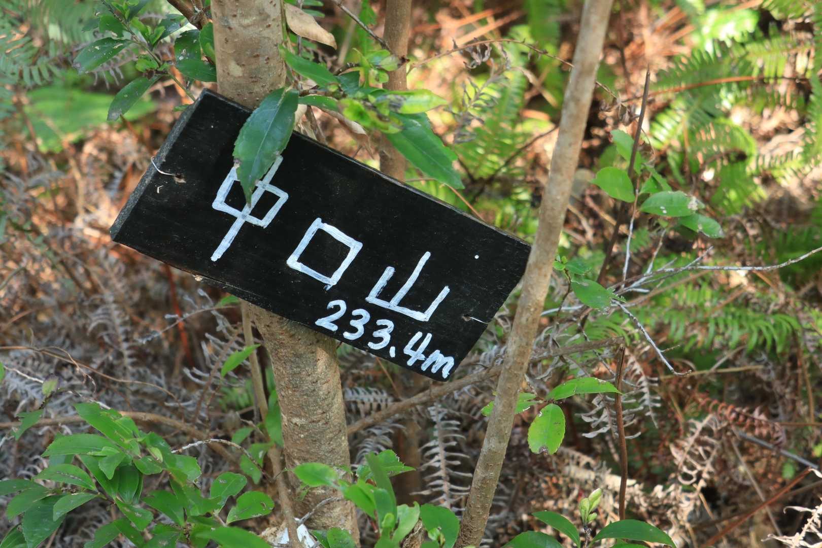 つい中トロと読んでしまう
