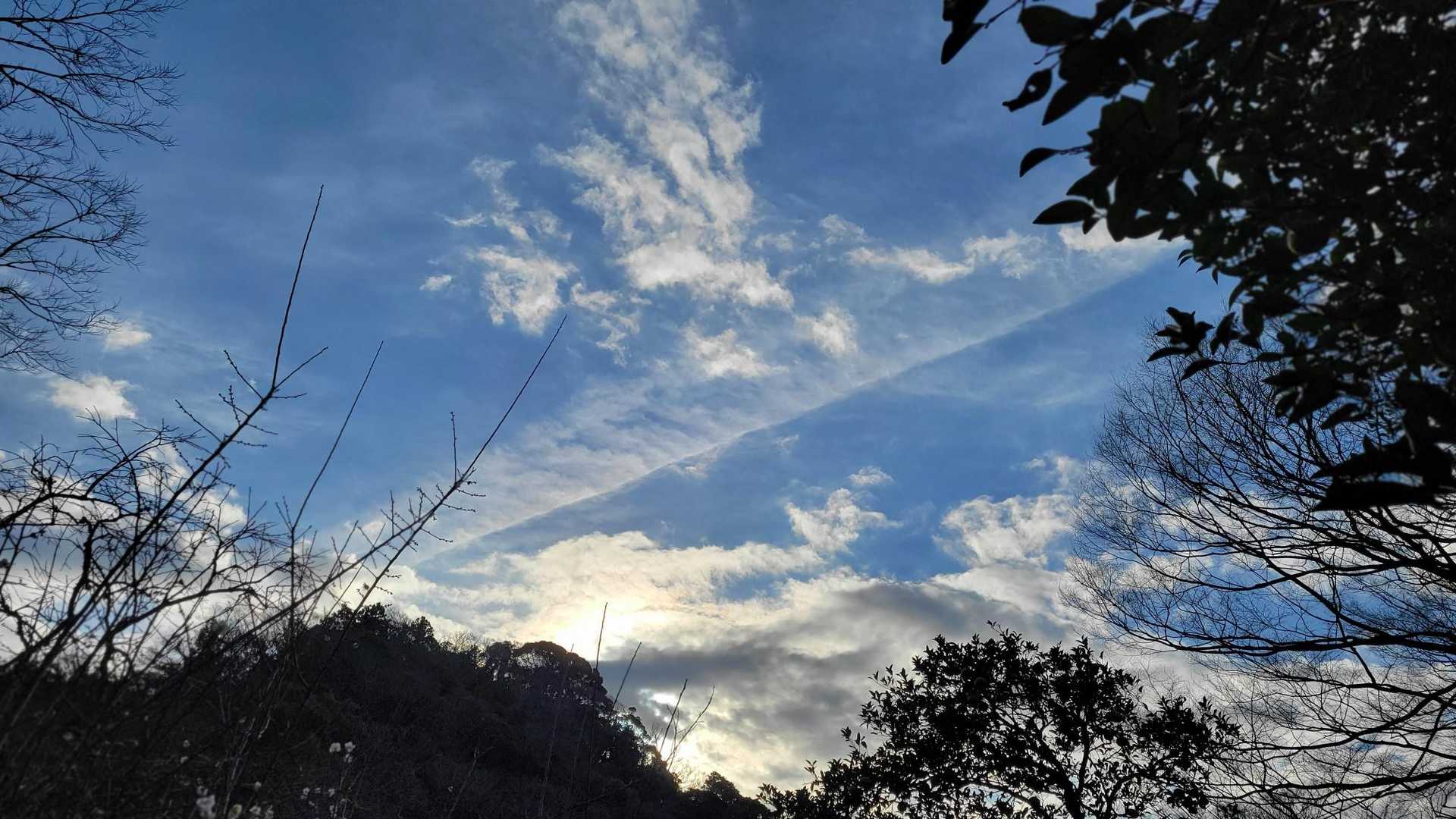 大崩バス停-津森山-人骨山 周回コースの写真